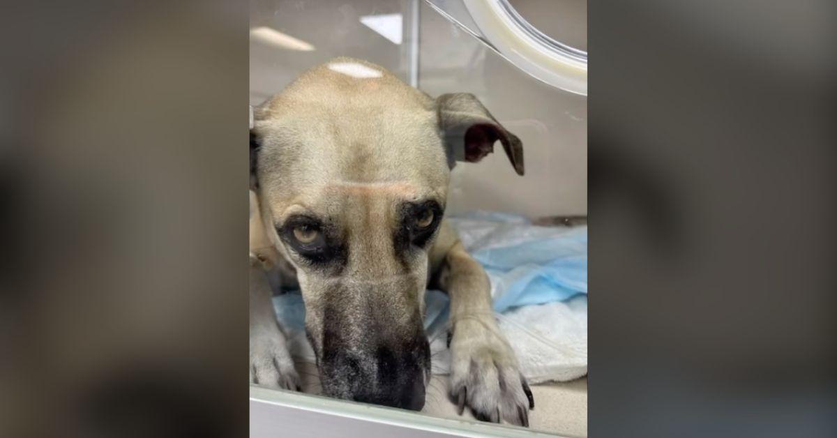 image of People were touched by the story. 