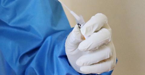 covid frankestein virus