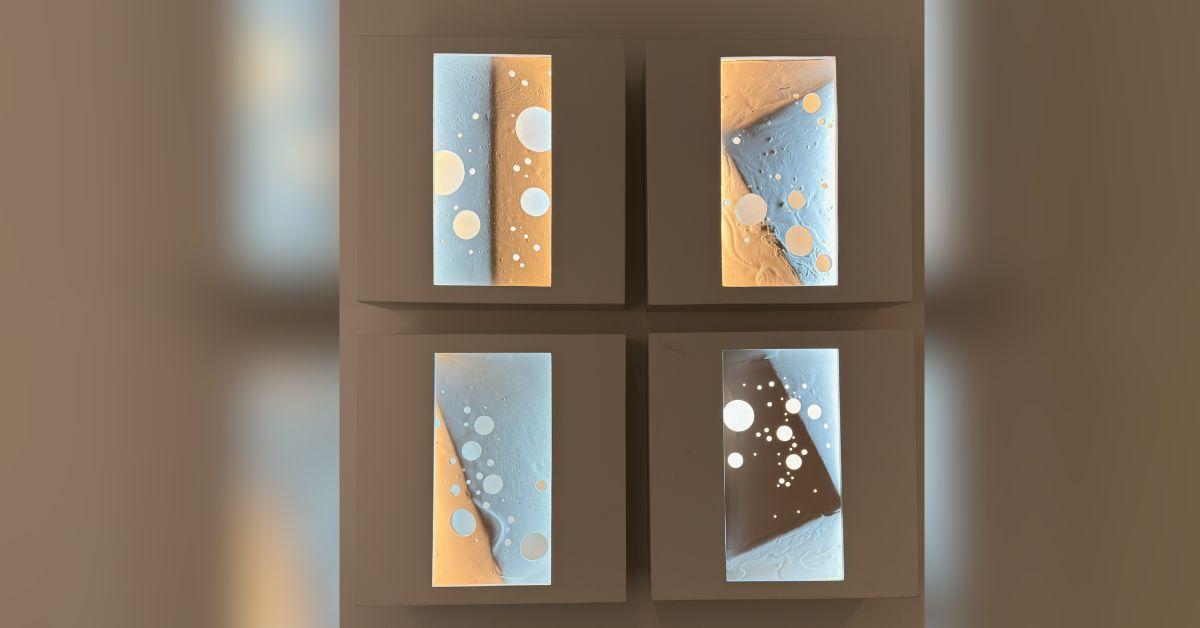 bentley meeker illuminates a new way of seeing at carlton fine arts