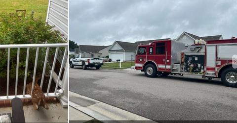 Image of Firefighters saved a fawn that was stuck in a porch railing.