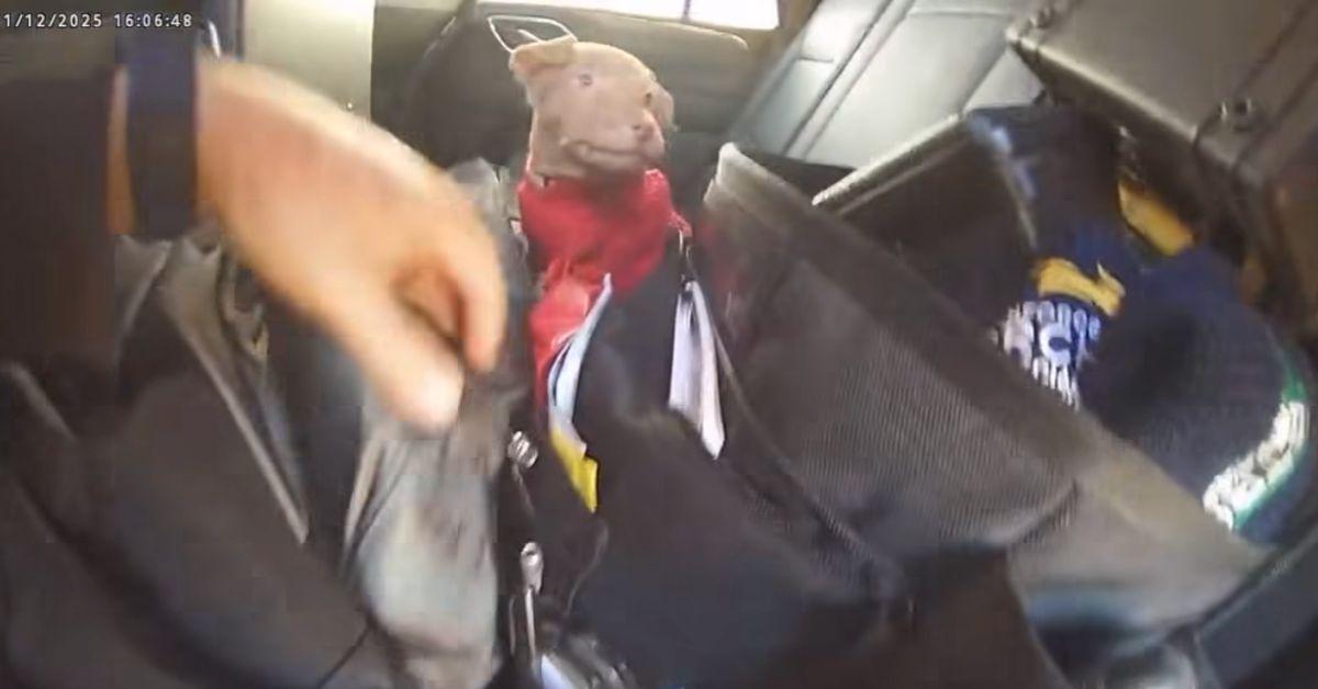 Image of Dog Tom ran amok in Trooper Steenstrup's car.