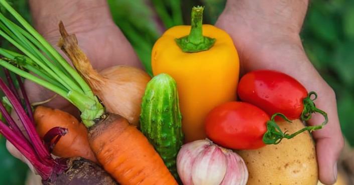 Photo of vegetables. 