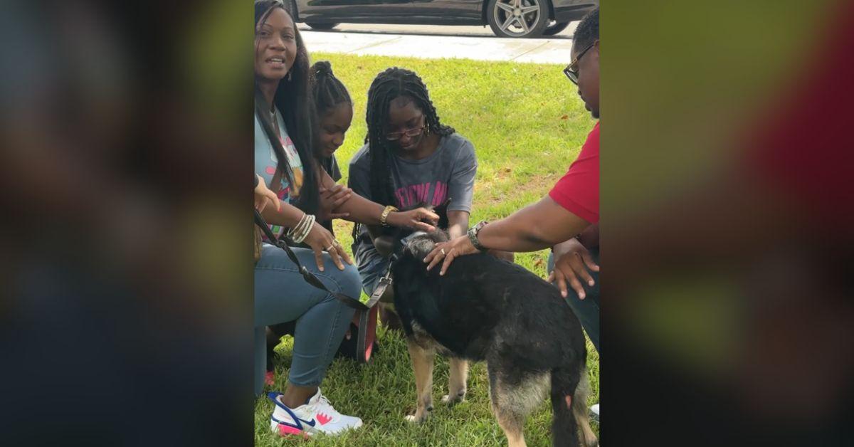 Image of The Nicholson family was over the moon to reunite with Bella after six years.