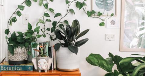 prudence earl nwbxxahw unsplash