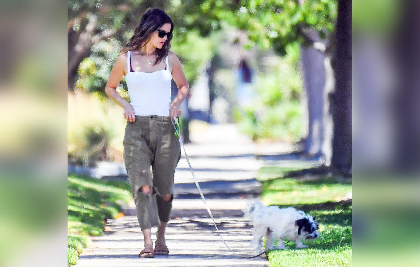 rachel bilson walking dog cargo pants white tank top