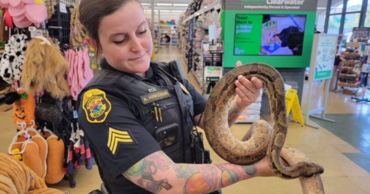 Image of The police officer who rescued the snake kept a snake hook in her car.