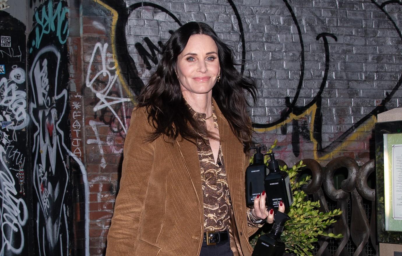 courteney cox shining vale