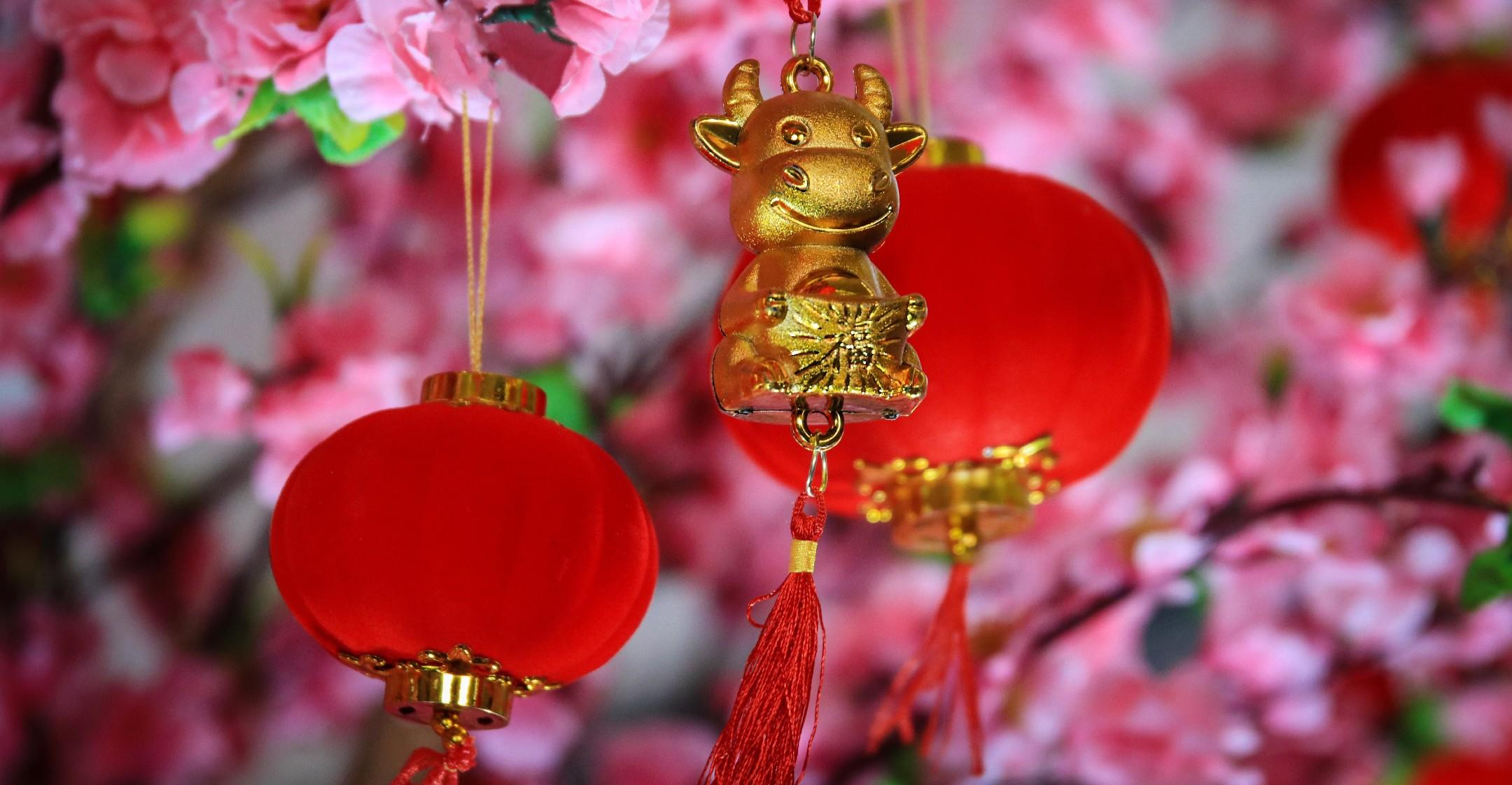 everything to know about the lunar new year pf