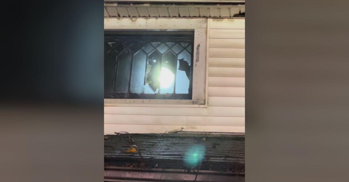 Image of Many windows were broken in the fire.