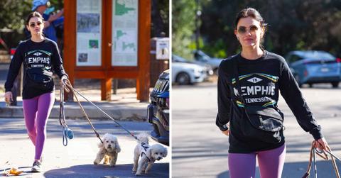 lucy hale walking her dogs beverly hills pp