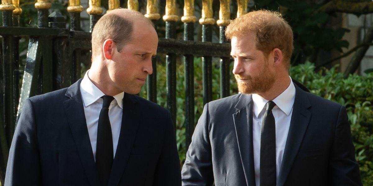 Prince Harry and Prince William