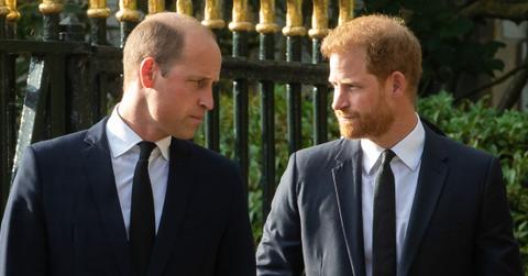 Prince Harry and Prince William
