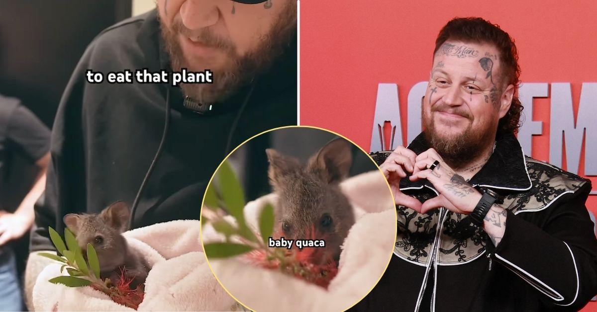photo of Jelly Roll with quokka, photo of Jelly Roll.