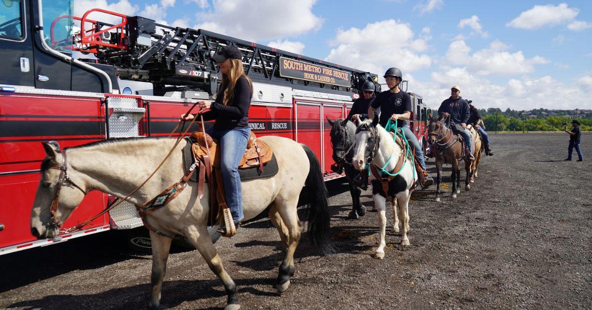 Image of The Arapahoe County Sheriff's Office recently trained their horses to escort vehicles through large crowds.