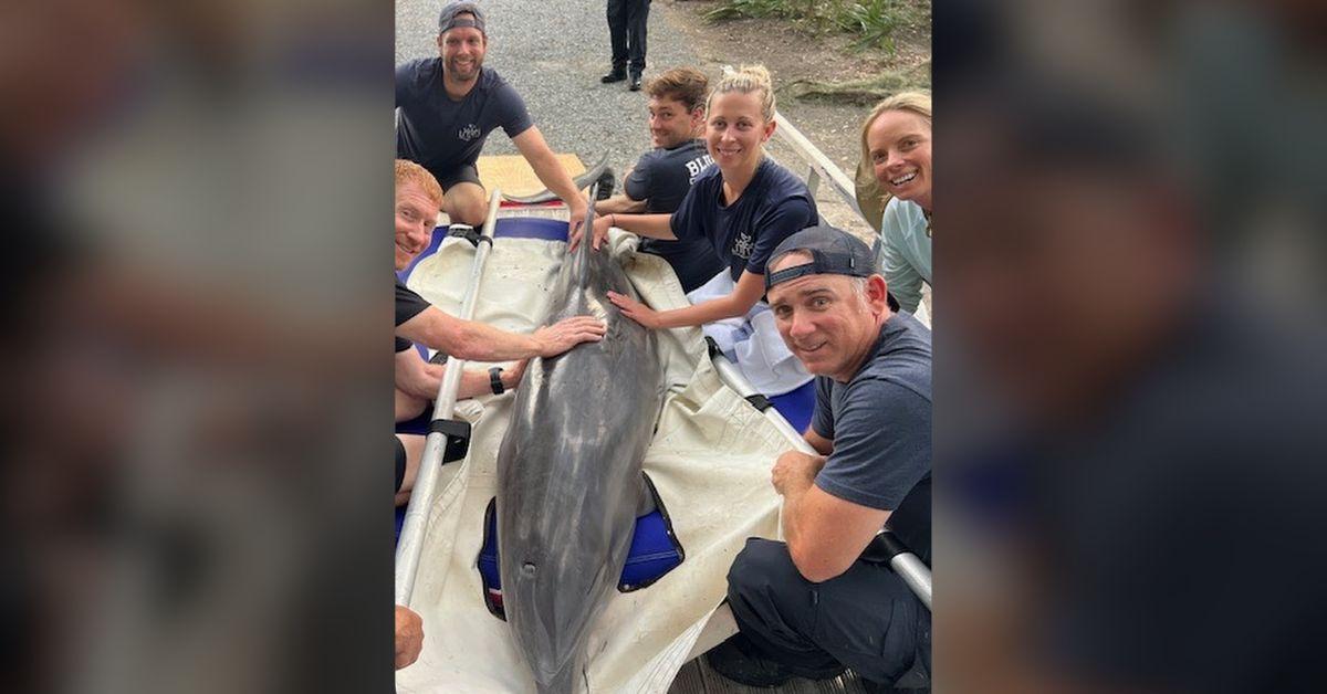 Image of The rescue team posed with Lucky during the mission.