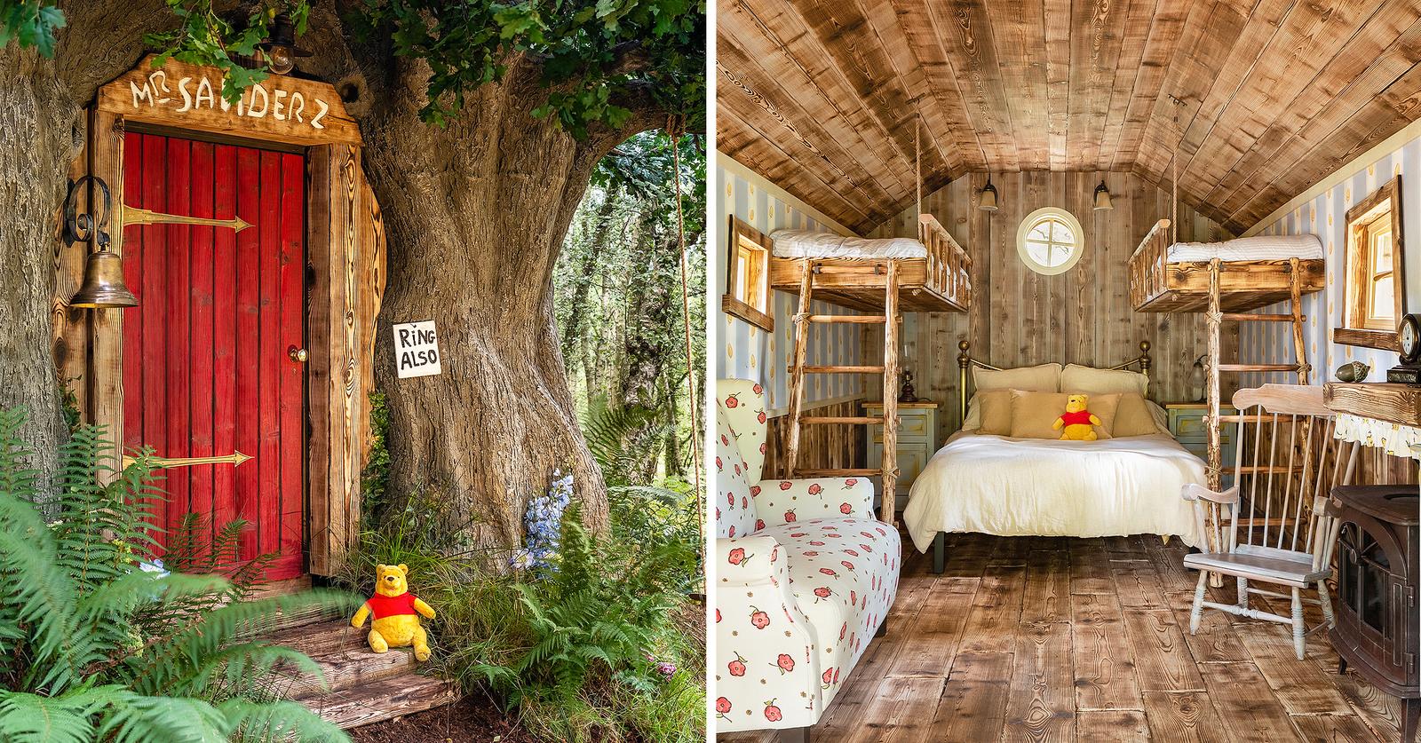 Winnie The Pooh-Inspired Treehouse Is Available To Rent On Airbnb: Photos