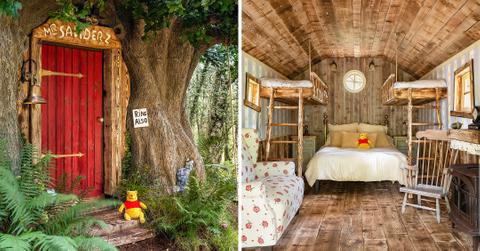 a winnie the pooh inspired house in the hundred acre wood is available to book on airbnb