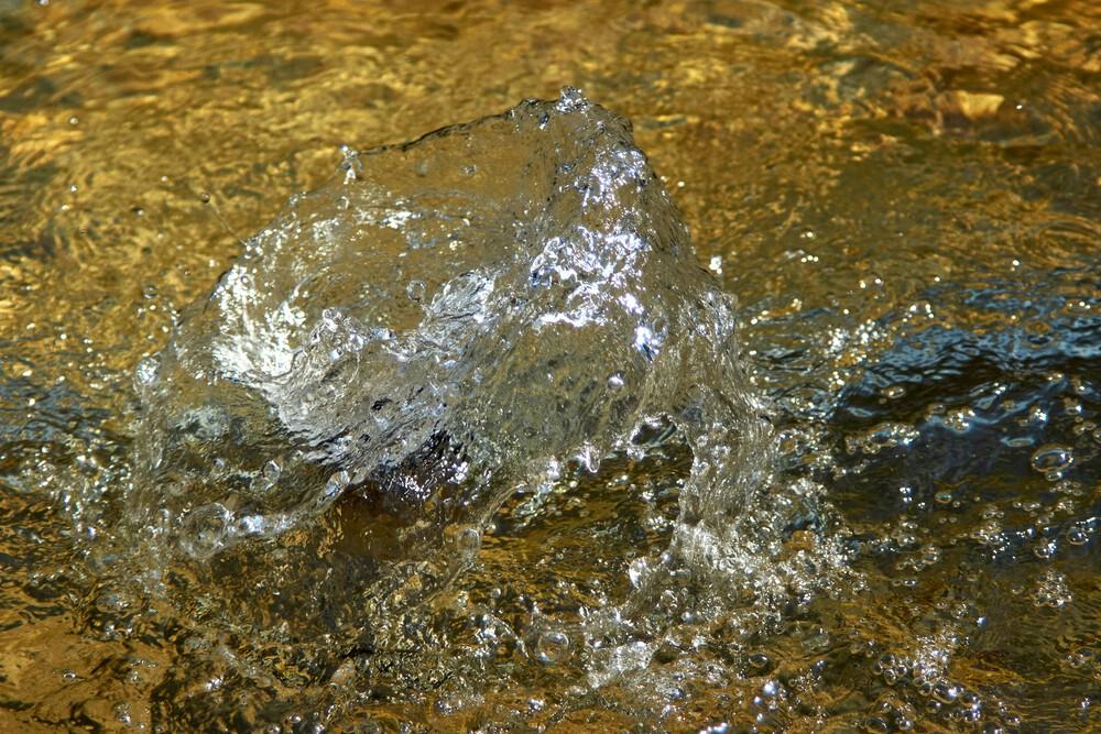 resultwolfgang hasselmann paprea jw unsplash