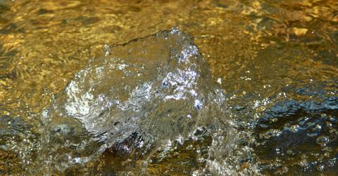 resultwolfgang hasselmann paprea jw unsplash