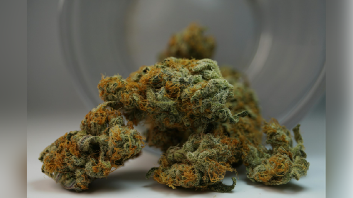 valerie juliet valdez circle inset image templates  x  px