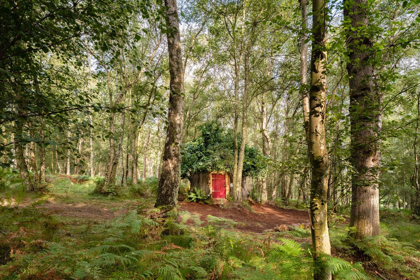 a winnie the pooh inspired house in the hundred acre wood is available to book on airbnb