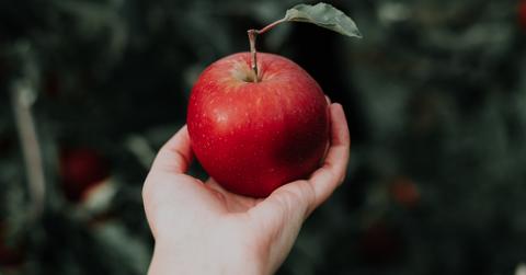 priscilla du preez coqjgsfvjtm unsplash