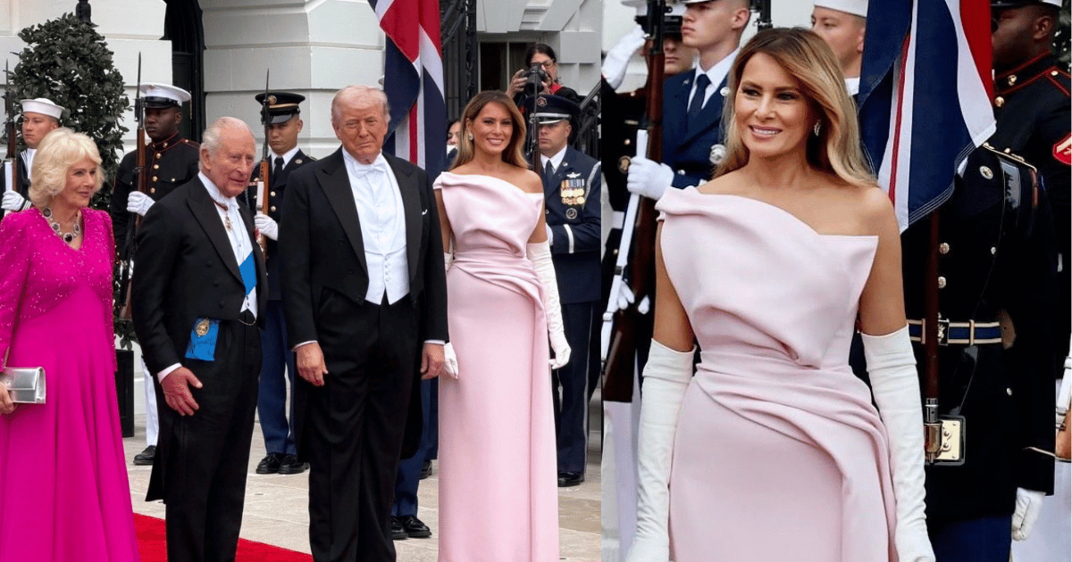 Melania Trump wore a custom pale pink Dior gown to the state dinner.