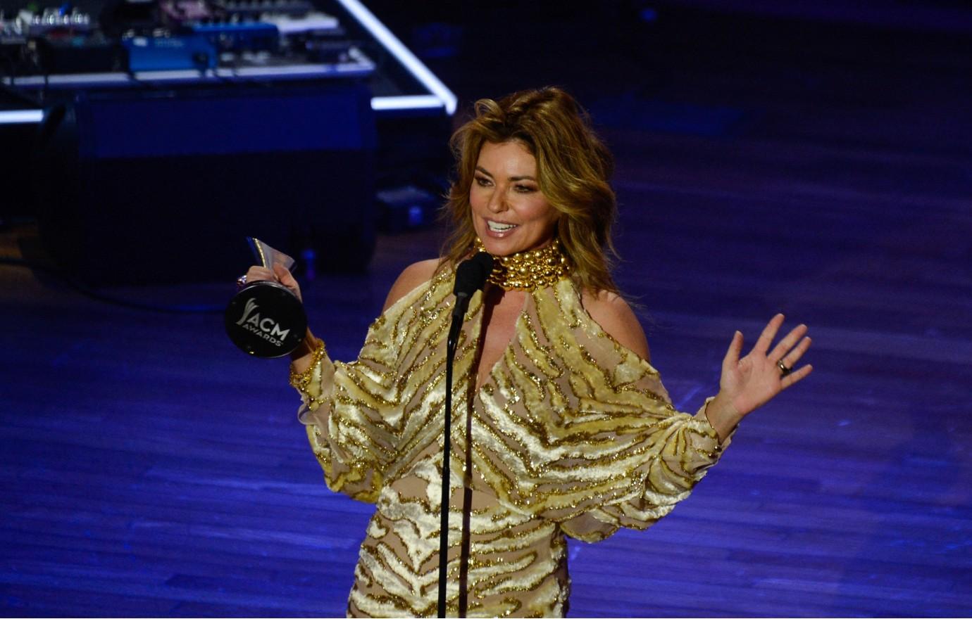 shania twain taking charge career