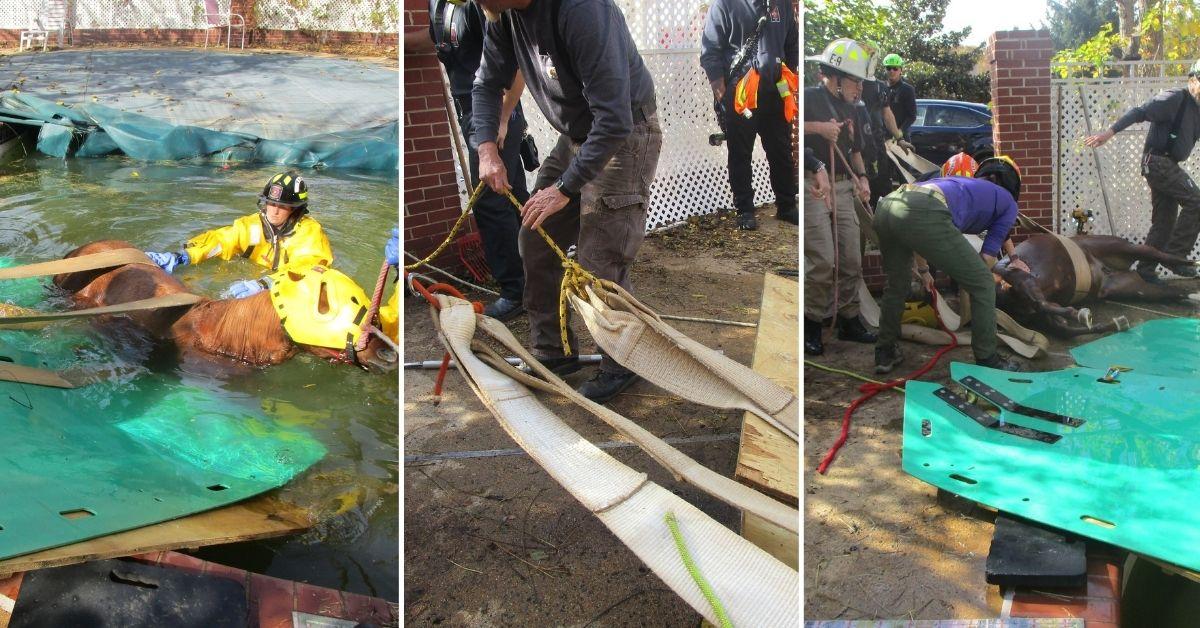 Image of The rescue process was a grueling task.