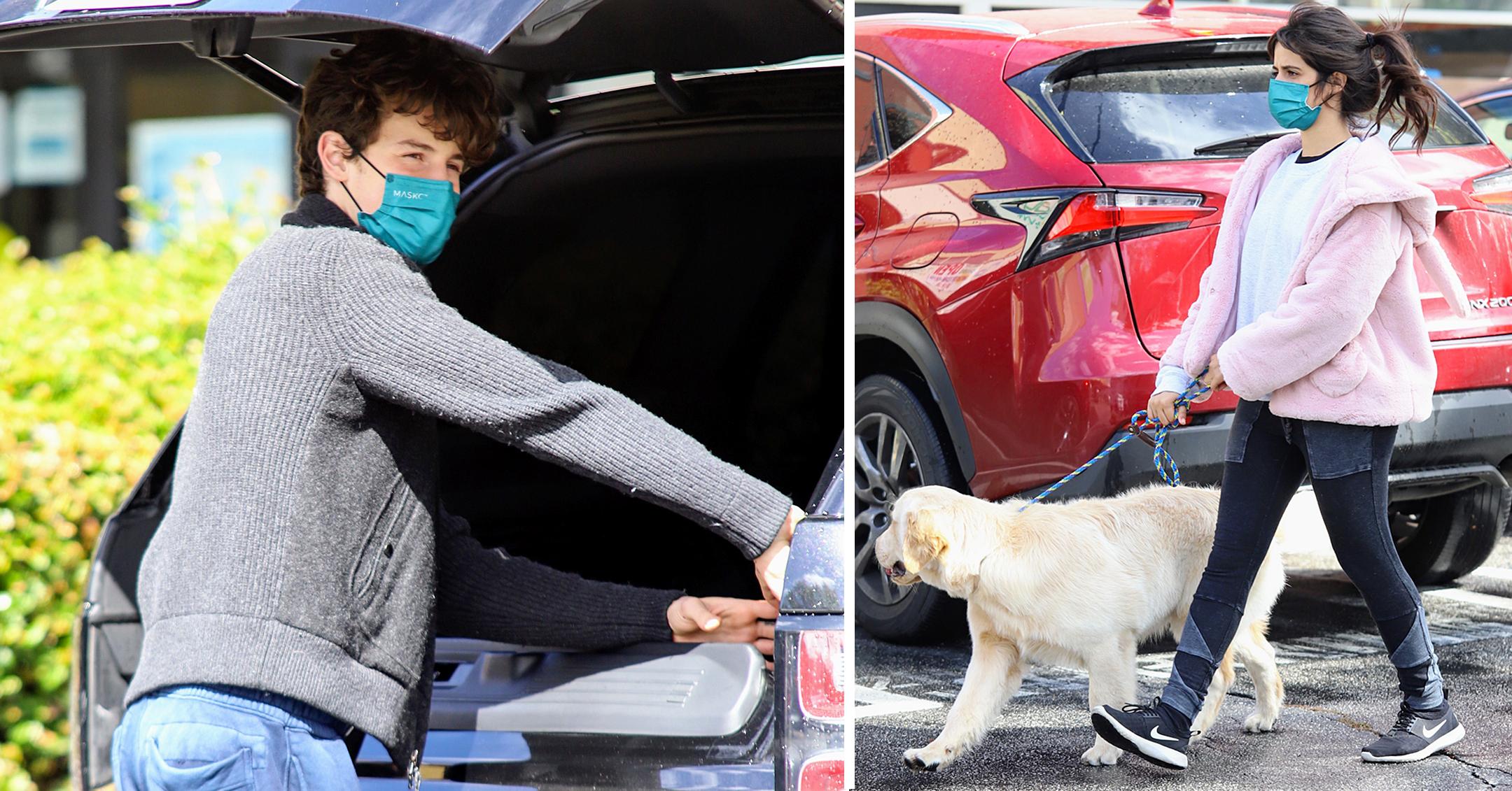 camila cabello walks dog while running with shawn mendes