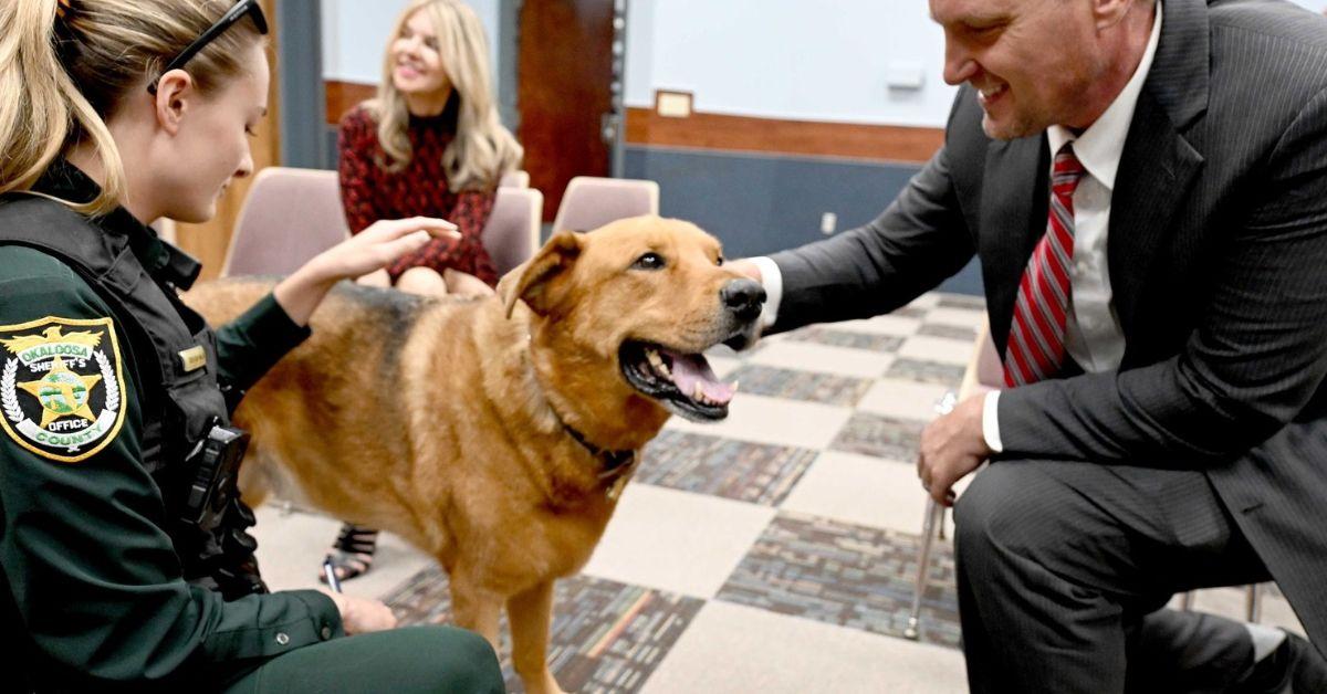 Image of Eeyore was recognized for his heroic act alongside Deputy Miller.