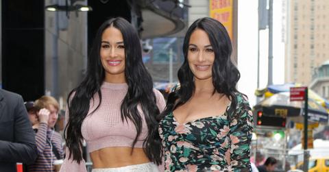 nikki brie bella garcia rebirth