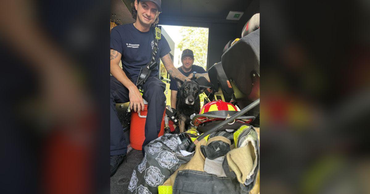 Image of Firefighters took care of Bella at the fire station until her family made it to pick her up.