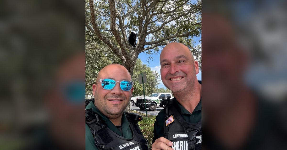 Image of Florida police waited with the black bear until the Florida Fish and Wildlife Conservation Commission arrived to help.