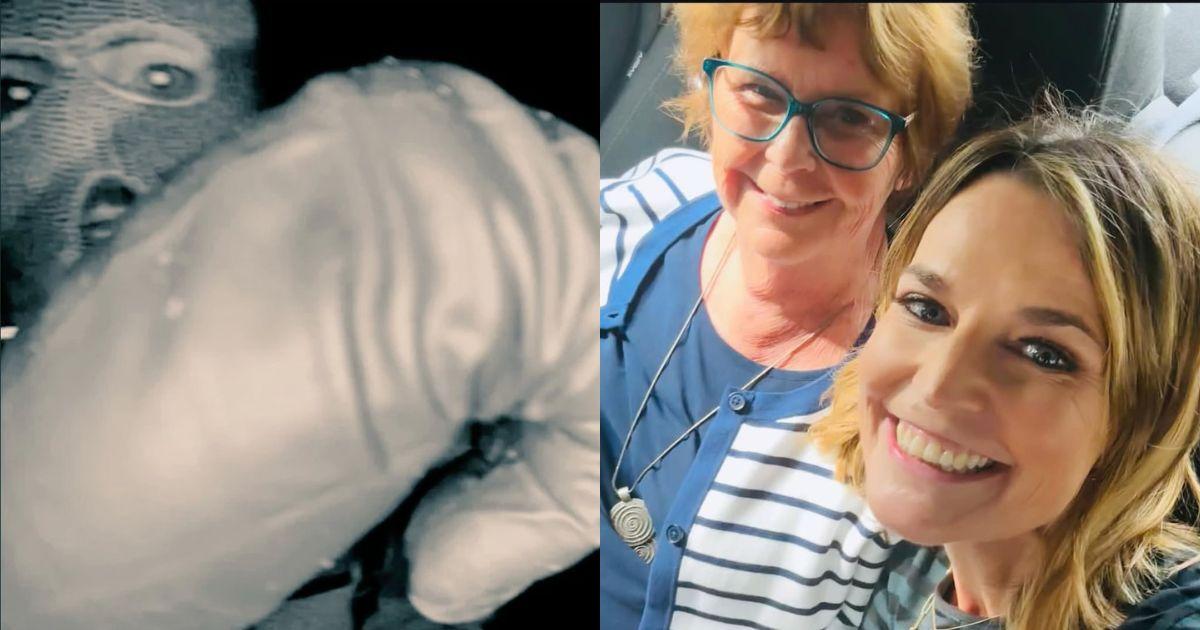 Nancy Guthrie and Savannah Guthrie; The masked suspect caught on camera