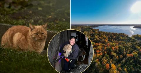 Image of A cat in Ohio happily survived a 'devastating' house fire.