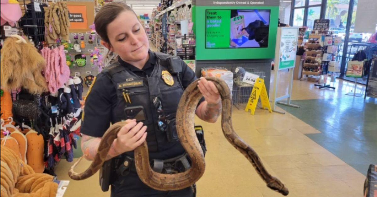 Image of The rescuing officer proudly posed with the snake once it had been brought to a local pet store.