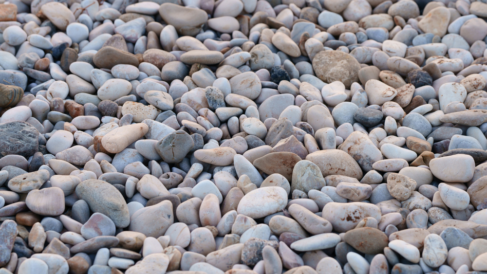 resultvalerie juliet valdez circle inset image templates  x  px