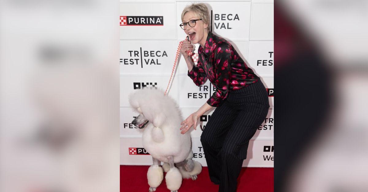 image of The actress has fond memories from working on 'Best in Show.' 