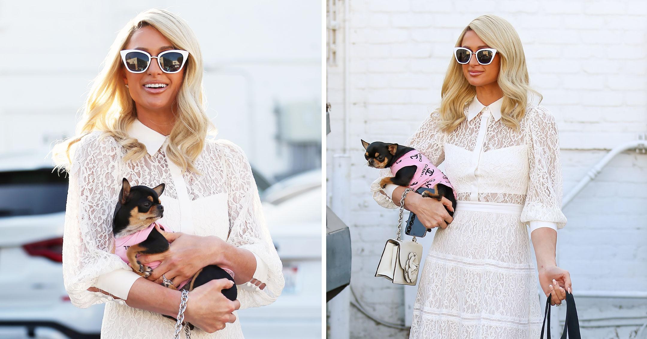 https://media.morninghoney.com/brand-img/wH36L7J0l/0x0/paris-hilton-white-dress-sunglasses-dog-mh-1636396001653.jpg