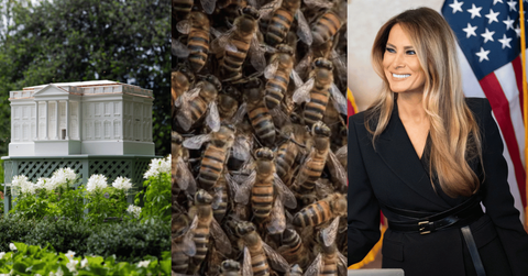 The hive is shaped like the White House and was crafted by a local artisan