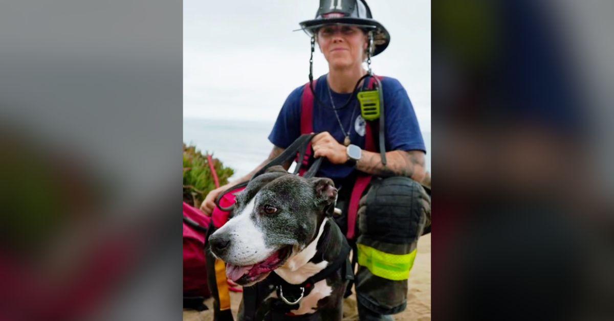 Image of The firefighter who rescued the dog from the cliffside posed with the animal afterwards.