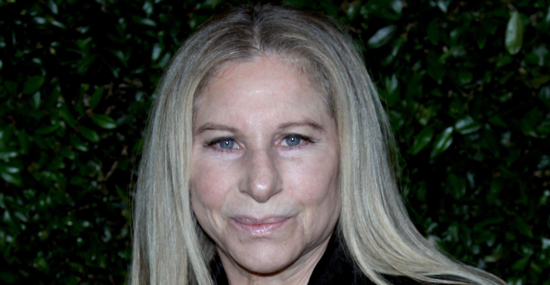 barbara streisand funding institute ucla solving societal challenges