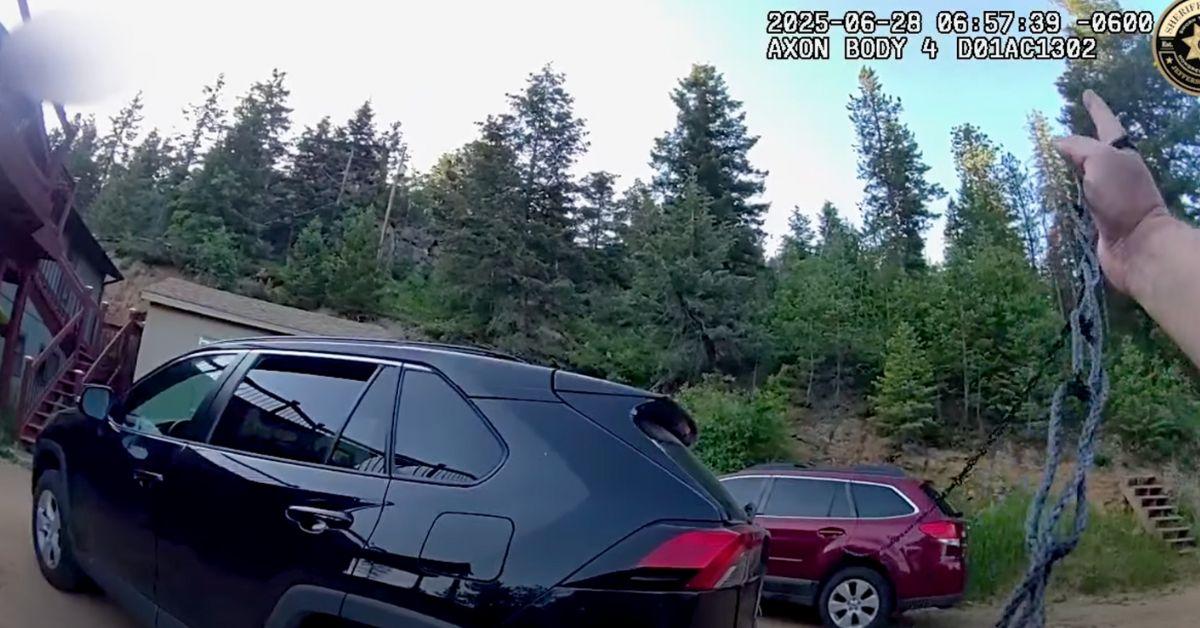 Image of The police officer chained a rope to the car door to free the bear.